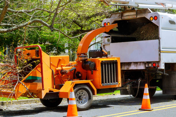 Best Utility Line Clearance  in East Pittsburgh, PA