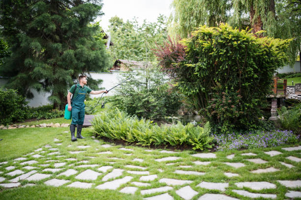 Best Lawn Pest Prevention  in East Pittsburgh, PA