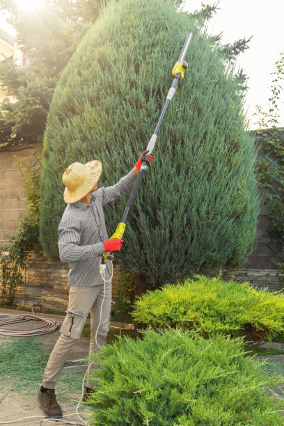Best Tree Health Inspection  in East Pittsburgh, PA